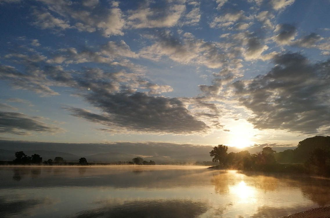 Donau-Fischen-Angelgeräte-Mönck-klein