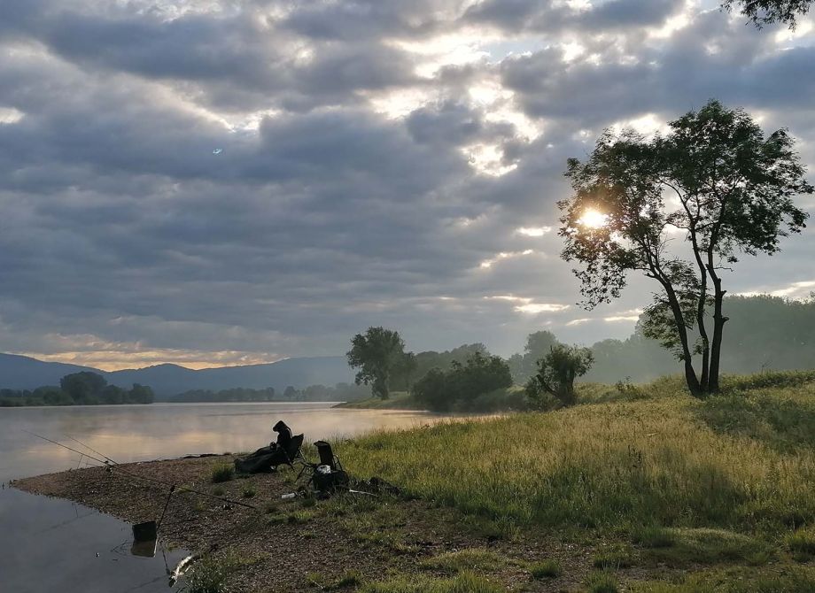 Donau-Fischen-Angelgeräte-Mönck